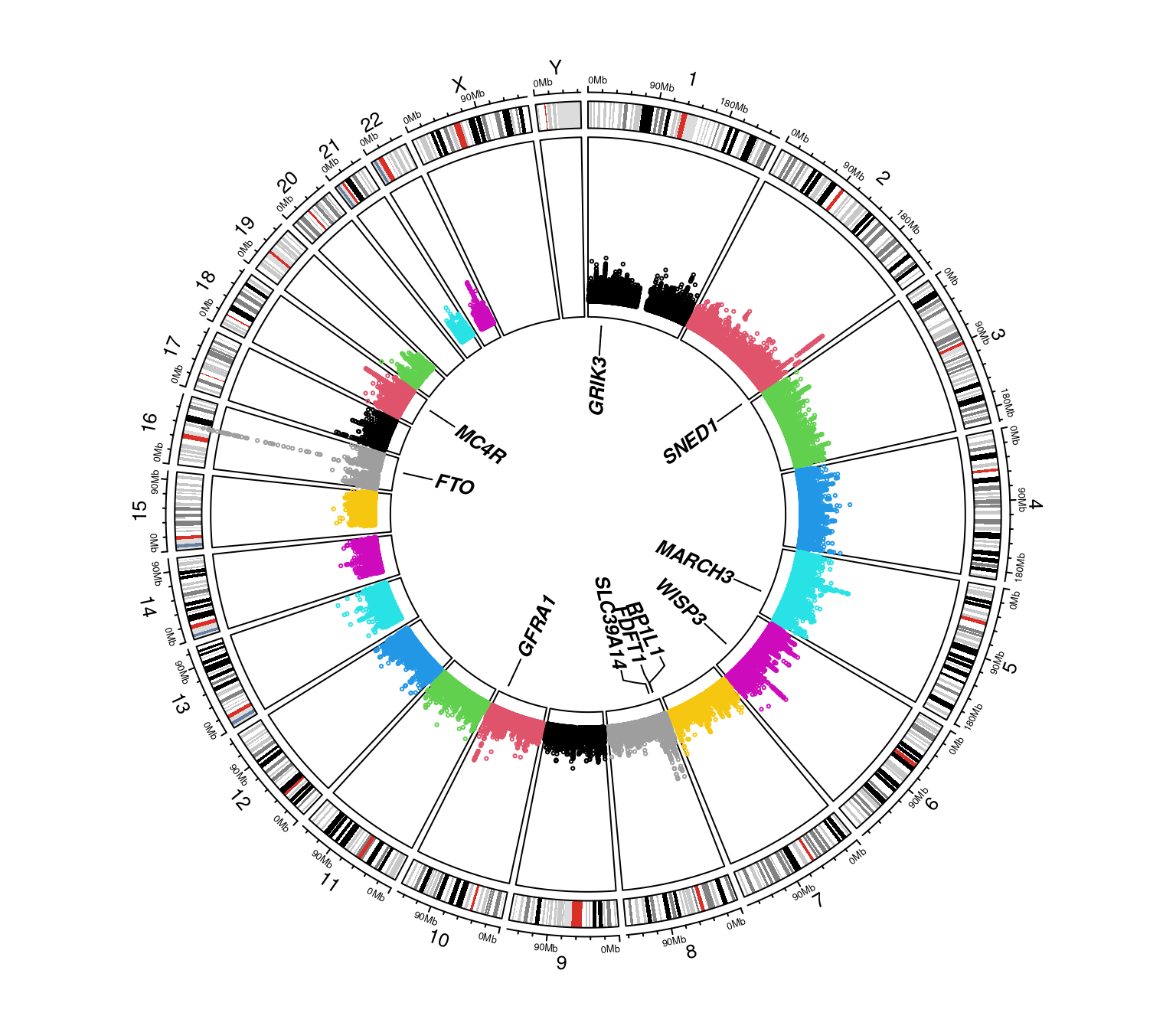A circos Manhattan plot