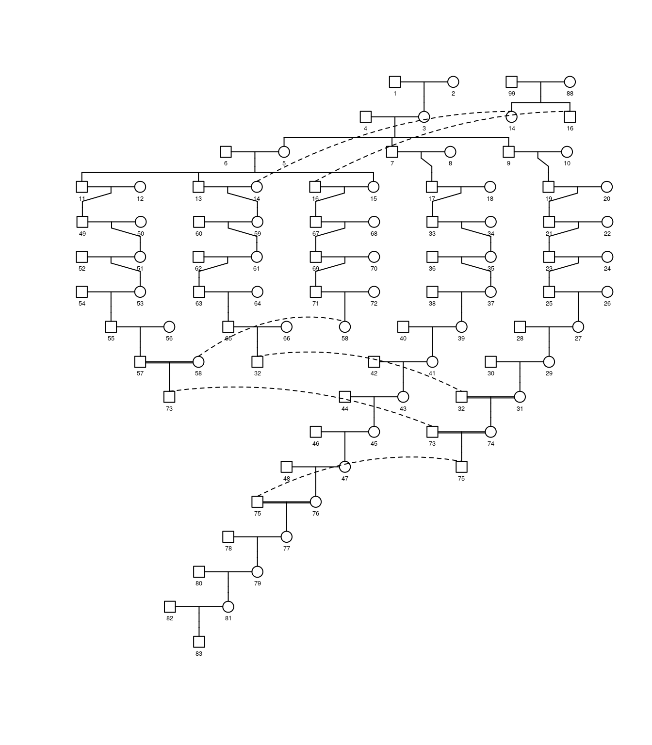 A pedigree diagram